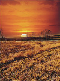 Scenic view of field against sky during sunset