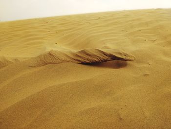 View of a desert