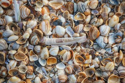Full frame shot of logs