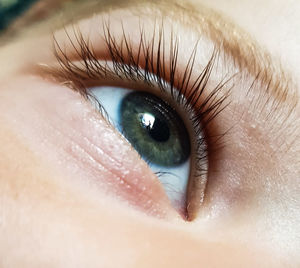 Close-up of human eye