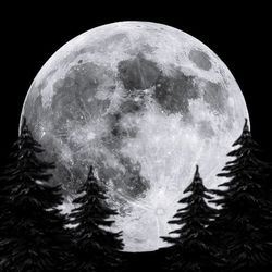 Close-up of moon against sky at night