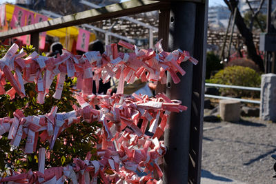 Close-up of bell hanging outside temple