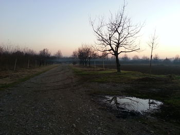 Bare trees on landscape at sunset