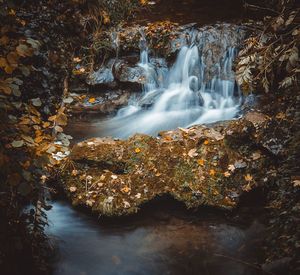 Scenic view of waterfall