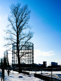 Bare trees and buildings against clear sky