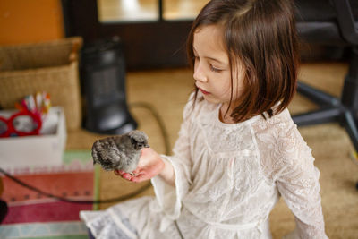 A small child sits on the floor gazing at a baby chick in her palm