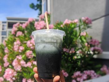 Close-up of hand holding glass of red rose
