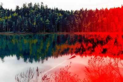 Reflection of trees in lake against sky