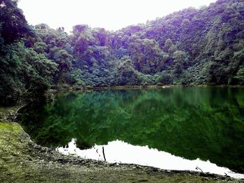 Scenic view of lake in forest against sky