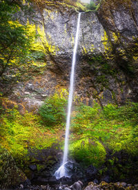 View of waterfall in forest