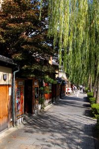 Narrow walkway along buildings