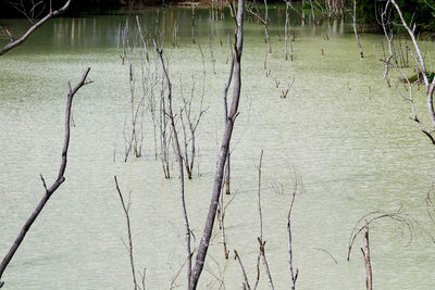 water