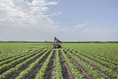 Oil well on agriculture field against sky