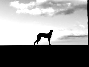 Side view of silhouette man standing against sky