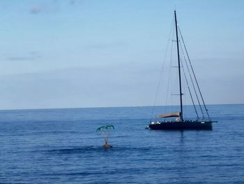 Sailboat sailing on sea against sky