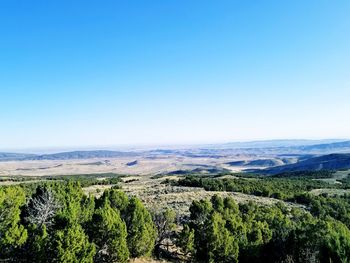 Scenic view of landscape against clear blue sky