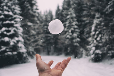 Human hand throwing snowball against trees