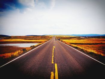 Empty country road along trees