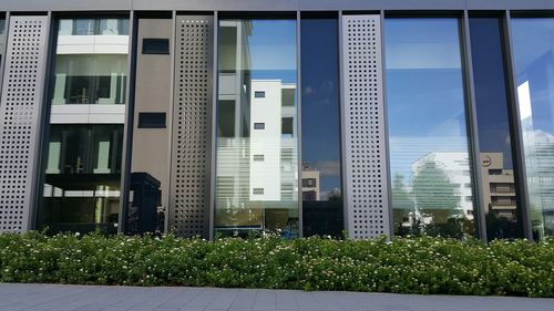 Plants growing in city against sky