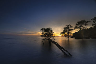 Silhouette trees by sea against sky during sunset