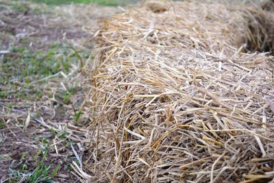 Close-up of hay bales on field