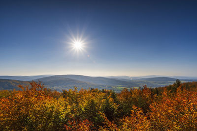 Scenic view of autumn trees against sky
