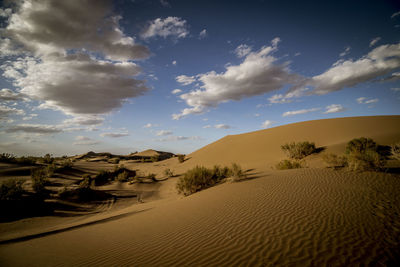 Scenic view of desert against sky