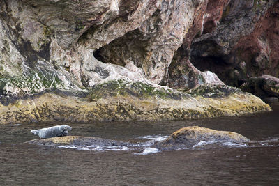 Rock formation on sea shore