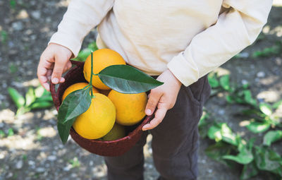 Wicker basket with ripe oranges in children's hands.