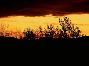 Silhouette of trees against sky at sunset