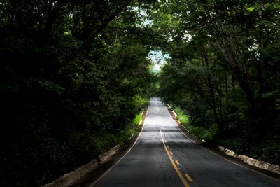 Empty road amidst trees in forest