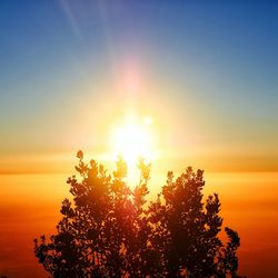 Silhouette tree against sky during sunset