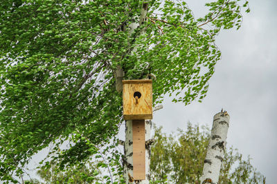 Birdhouse on tree against building