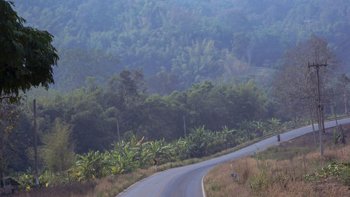 Road amidst trees in forest against sky