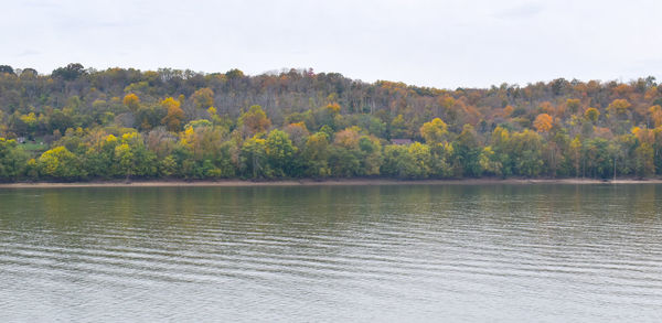 Scenic view of lake by trees against sky