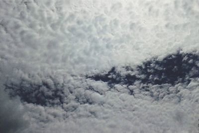 Close-up of tree against sky during winter