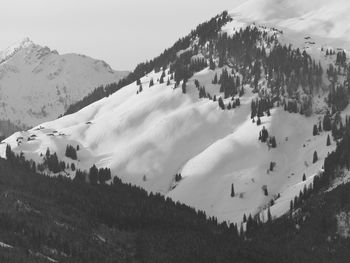 mountain