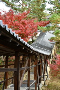 Red outside house amidst trees and building