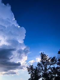 Low angle view of silhouette trees against blue sky