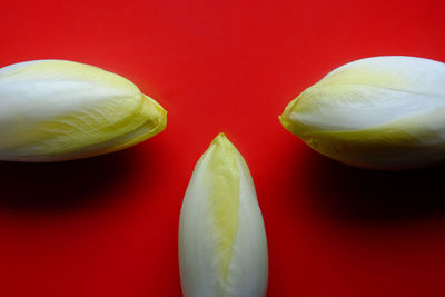 Close-up of red chili pepper against orange background