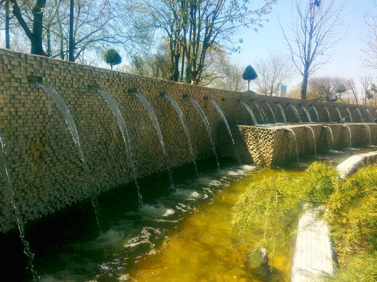 water, architecture, built structure, tree, building exterior, reflection, river, nature, canal, branch, waterfront, bridge - man made structure, sky, day, outdoors, no people, sunlight, growth, connection, bare tree