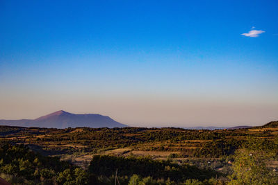 Scenic view of field against clear blue sky