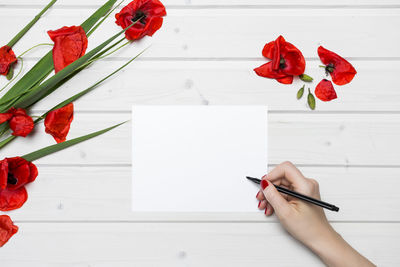 Person holding red rose on table