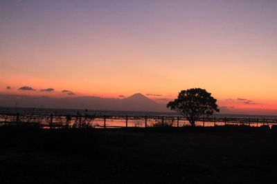 Silhouette trees by sea against sky during sunset