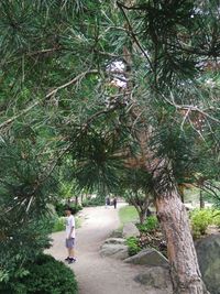 People walking on tree