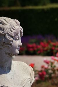 Close-up of statue against blurred background