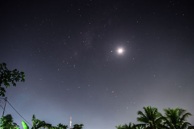 Low angle view of trees against clear sky at night