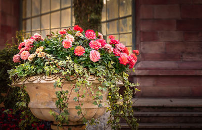 Close-up of flower pot on potted plant