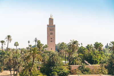 View of palm trees and building against sky