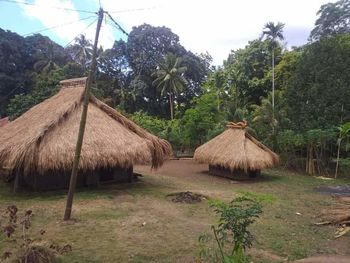 thatched roof